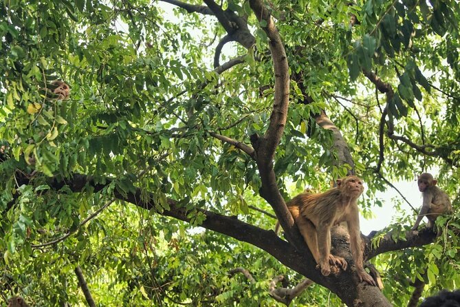 7 Day Private Tour in Nepal - Terms and Conditions