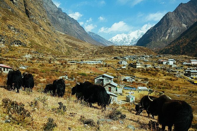 7 Day Private Tour Kathmandu Yoga Trek to Langtang Valley - Day 2 - Trek Syabrubesi to Lama Hotel