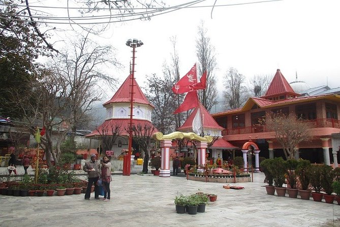 7-Day Private Tour of North India With Accommodation - Accessibility Information