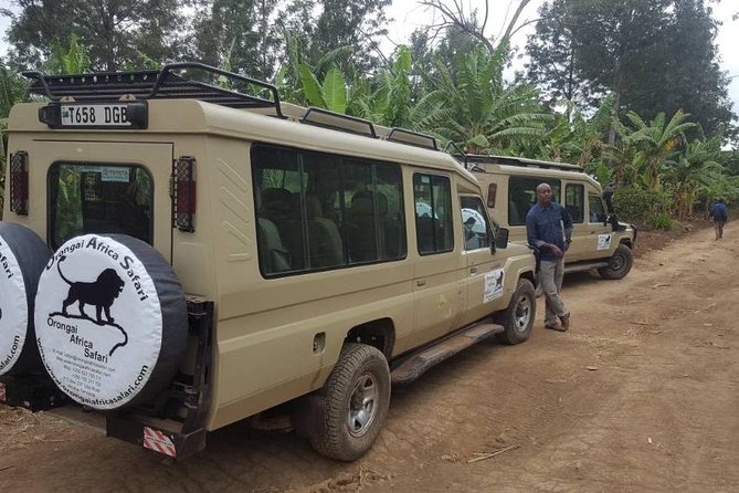 7-Day Safari (Including Serengeti) & Zanzibar Extension - Safari Experience