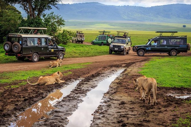 7-Day Safari (Including Serengeti) & Zanzibar Extension - The Sum Up