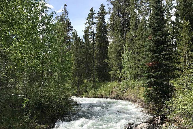 7-Day Small Group Tour: Canadian Rockies and National Parks - Traveler Requirements