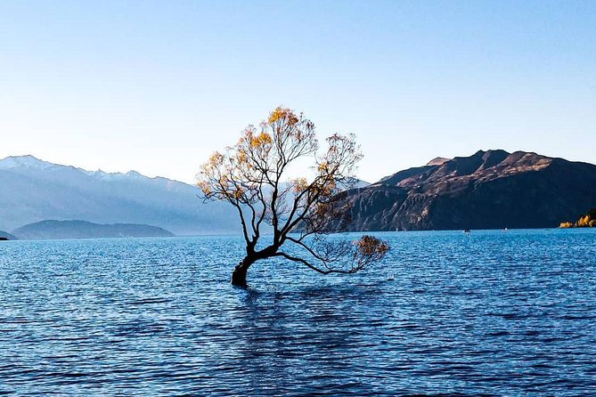 7 Day South Island Tour - Day 6: Coastal Exploration and Stunning Views