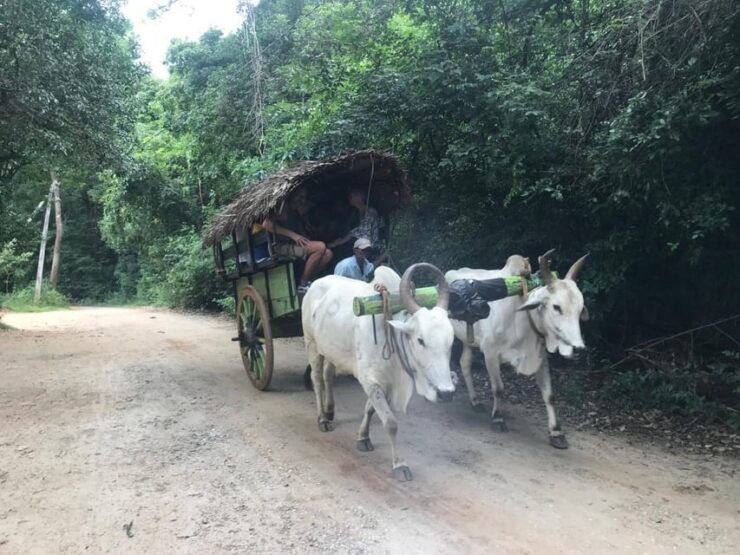 7-Day Sri Lanka Round Tour: Colombo, Ella, Kandy, Sigiriya - Day-by-Day Itinerary