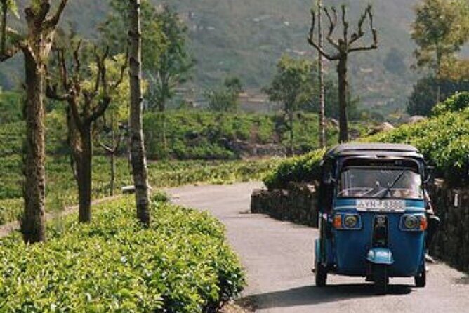 7 Day Sri Lanka Round Trip Culture, Nature and Safari Adventure - Frequently Asked Questions