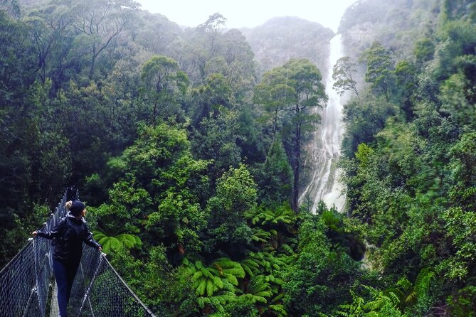 7-Day Super Value Tour of Tasmania: Explore Tasmanias West and East Coasts - Additional Information