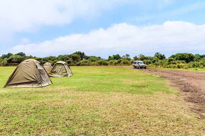 7 Day Tanzania Camping Safari Experience - Day 3: Ngorongoro Conservation Area