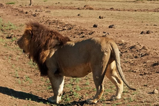 7 Day Tanzania Visiting Arusha, Lake Manyara, Serengeti, Ngorongoro & Tarangire - Day 4: Discovering Ngorongoro