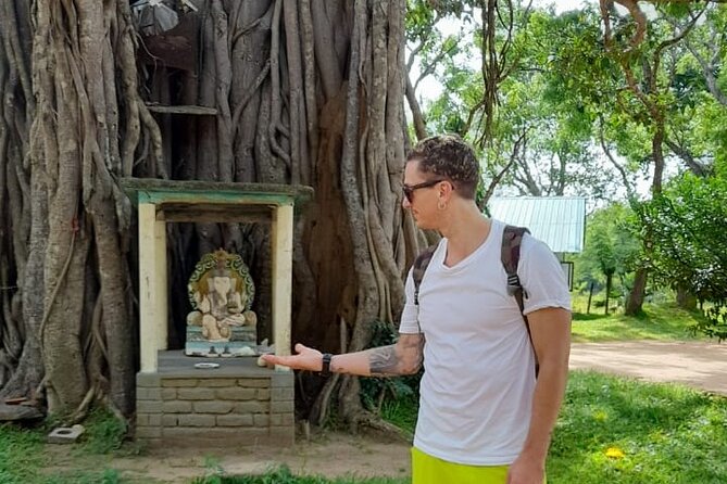 7-Day Tour in Sri Lanka - Itinerary Highlights
