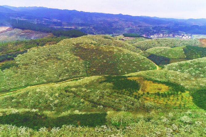 7-Day Tour of Music and Photos in Jinping County From Guiyang - Day 5: Music and Local Cuisine