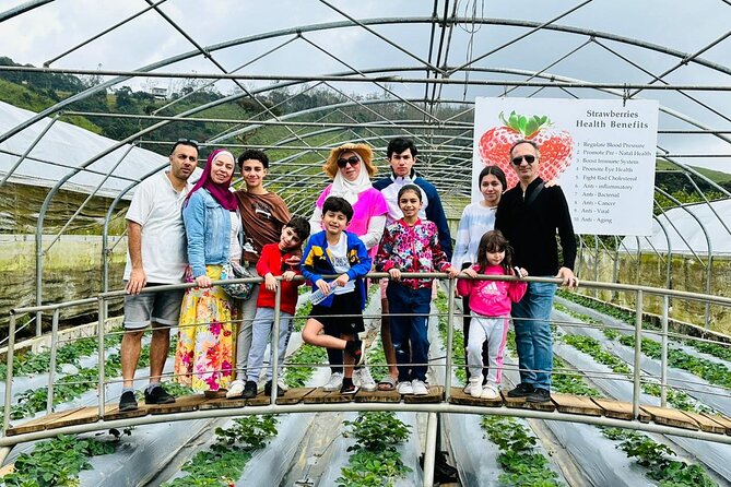 7-Day Tour to Explore Sri Lanka - Day 5: Relaxing in the Hill Country of Nuwara Eliya