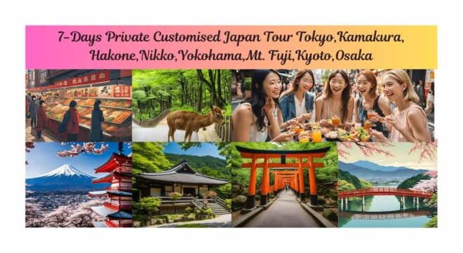7-Day Tour Tokyo Kamakura Hakone Nikko Yokohama Fuji Kyoto - Highlights of Each Destination