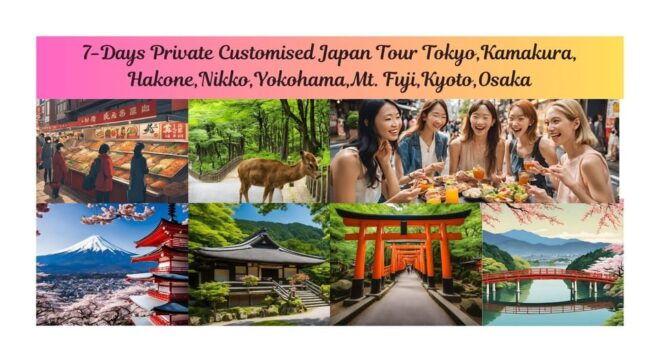 7-Day Tour Tokyo Kamakura Hakone Nikko Yokohama Fuji Kyoto - Experience and Features