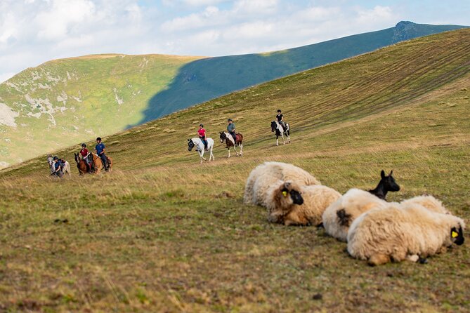 7 Day Via Dinarica Horseback Trail Ride for Small Group in Bosnia - Accommodation and Spa Visit