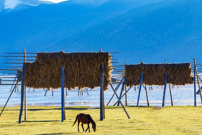7-Day Yunnan Essential Scenic Spots Grand Loop Tour - Dali, Erhai Lake and Bai culture