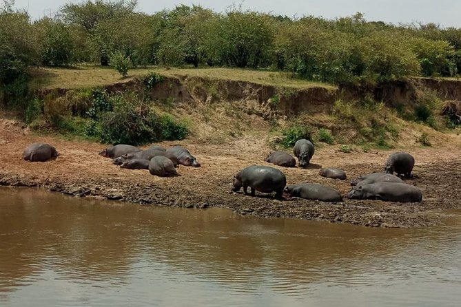 7 Days 6 Nights Aberdares / Lake Nakuru / Masai Mara / Lake Naivasha / Amboseli - Good To Know