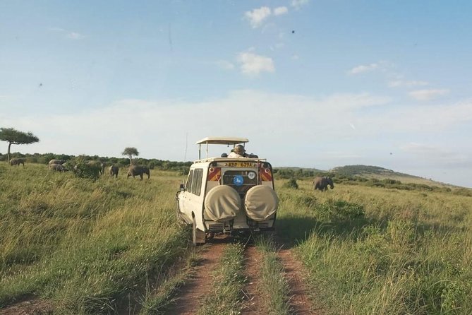 7 Days 6 Nights Aberdares / Lake Nakuru / Masai Mara / Lake Naivasha / Amboseli - Meal Plan