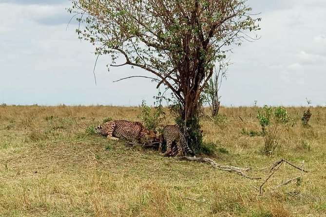 7 Days 6 Nights Aberdares / Lake Nakuru / Masai Mara / Lake Naivasha / Amboseli - Exclusions