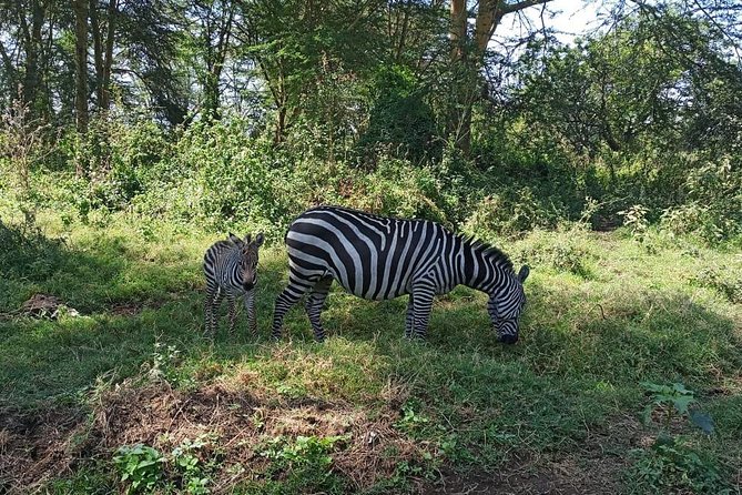 7 Days 6 Nights Aberdares / Lake Nakuru / Masai Mara / Lake Naivasha / Amboseli - Optional Activities