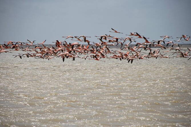 7 Days 6 Nights Alta Guajira Photographic Route Tour With Pick up - Tour Overview