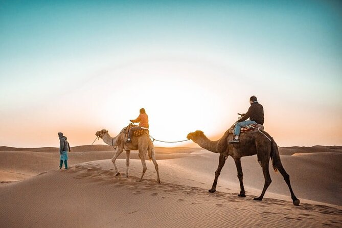 7 Days 6 Nights Desert Tour From Marrakech - Meeting and Pickup Information