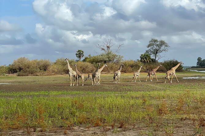 7 Days 6 Nights Northern Wildlife Safari - Safari Overview