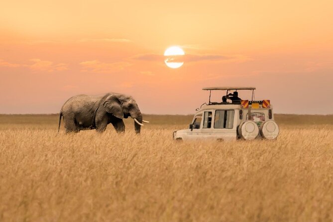 7 Days 6 Nights Northern Wildlife Safari - Wildlife Encounters