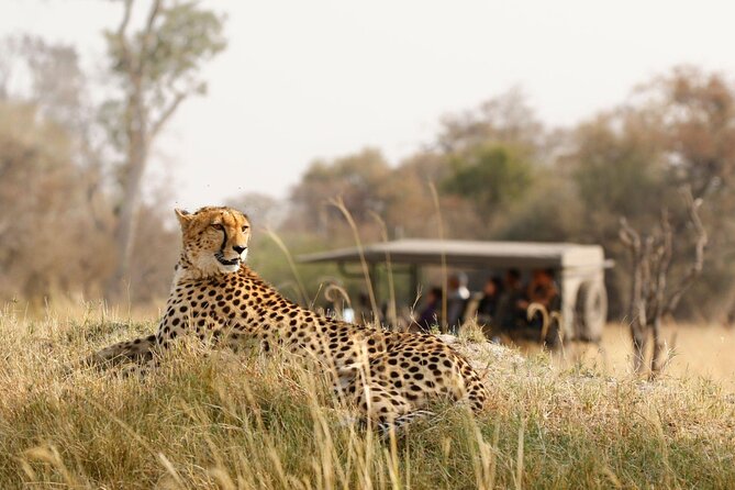 7 Days 6 Nights Northern Wildlife Safari - Visa and Insurance
