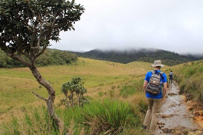 7 Days 6 Nights Package Tour With Holiday Walkers Sri Lanka - Content Title