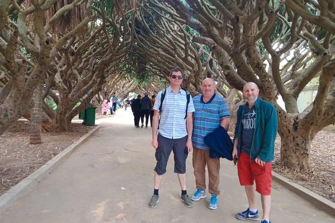 7 Days 6 Nights Private Trip in 5 Cities - The Sum Up
