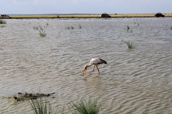 7 Days, 6 Nights Wildlife Photography and Birding Safari - Safari Itinerary Overview