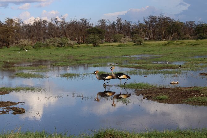 7 Days, 6 Nights Wildlife Photography and Birding Safari - Cancellation and Booking Policies