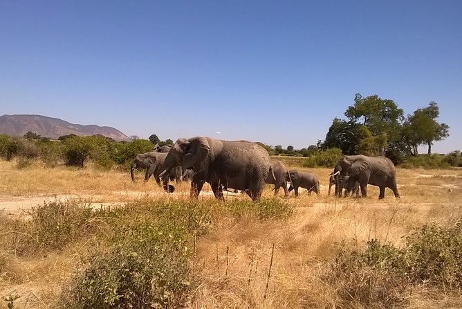 7 Days, 6nights Safari To Ruaha National Park & Mikumi National Park - Tanzania - What to Bring