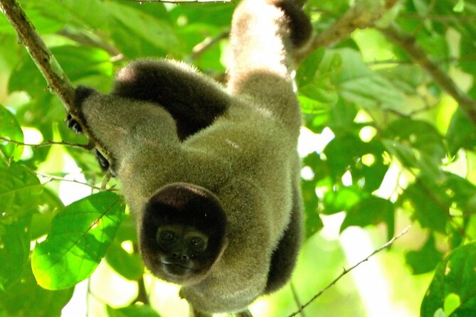 7 Days and 6 Nights Private Tour Manu National Park in Cusco - Traveler Photos and Reviews