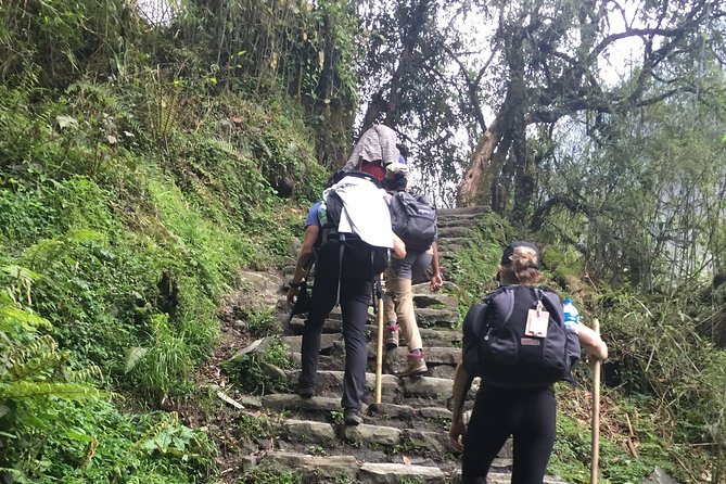 7 Days Annapurna Base Camp Trek From Pokhara - Whats Included in the Trek