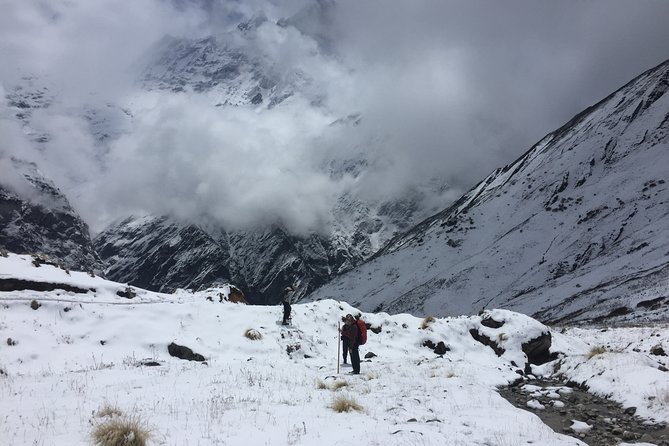 7 Days Annapurna Base Camp Trek From Pokhara - Accommodation and Day 4: Trek to Annapurna Base Camp