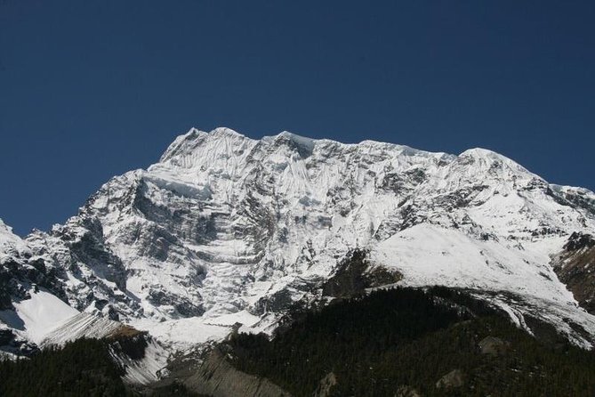 7 Days Annapurna Base Camp Trek From Pokhara - Accommodation Options