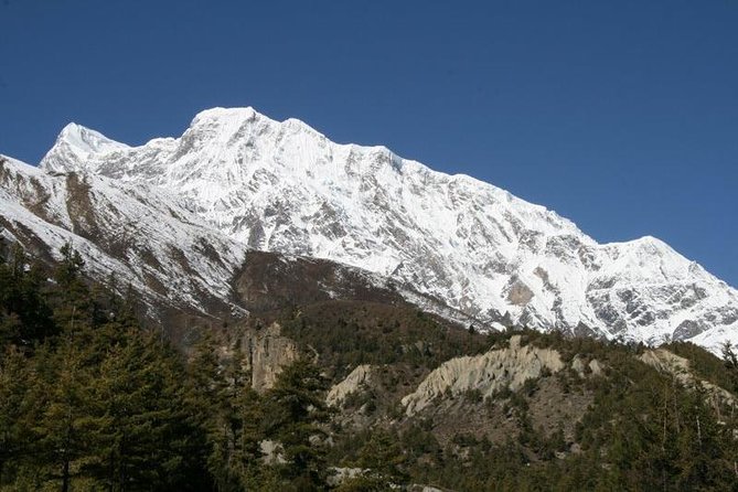 7 Days Annapurna Base Camp Trek From Pokhara - Meeting and Pickup Details