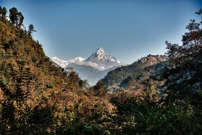 7 Days Annapurna MBC Trek - Accommodation and Meals