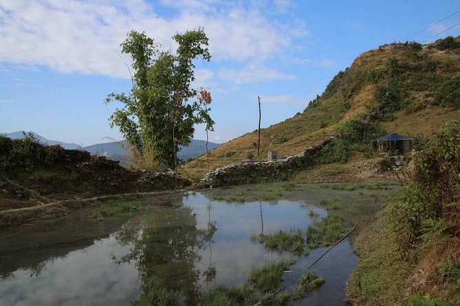 7 Days Australian Camp Trek (Kids-Friendly) - Accommodation and Meals