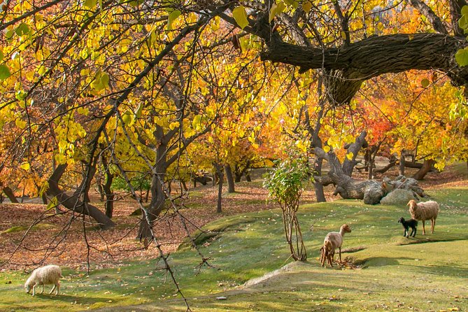 7-Days Autumn Tour to Hunza Valley - Good To Know