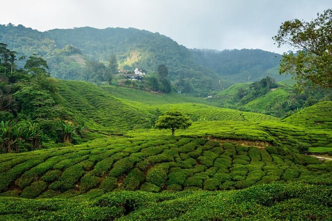 7-Days Best of Malaysia - Good To Know