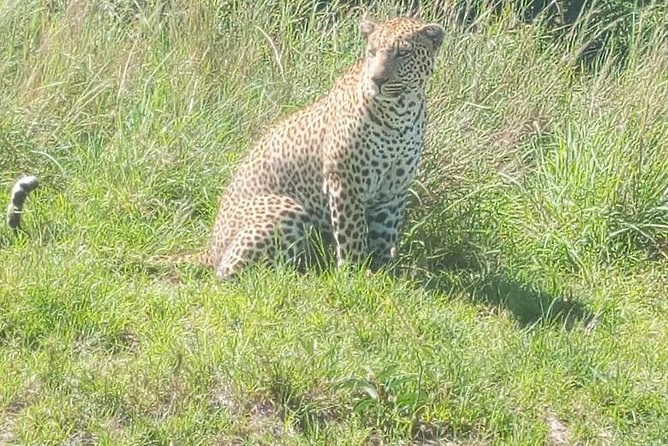 7 Days Best of Wildlife Guided Safari in Kenya - Culinary Delights Included