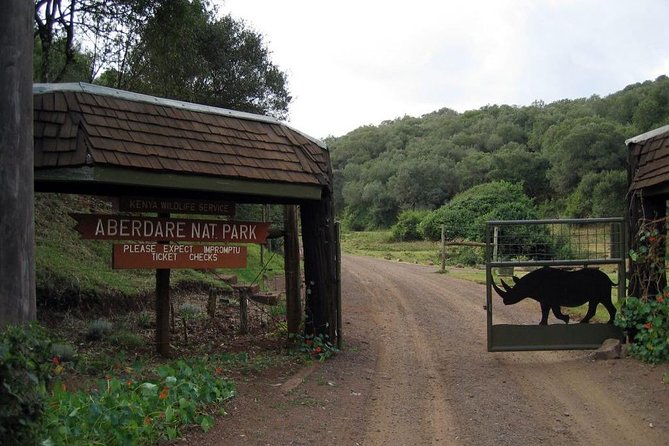 7 Days Breathtaking Kenya Wildlife Private Safari - Wildlife Sightings