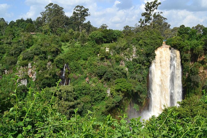 7 Days Breathtaking Kenya Wildlife Private Safari - Booking and Pricing Information