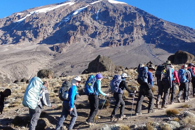 7 Days Climb Kilimanjaro Machame Route - Inclusions