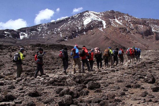 7 Days Climb Kilimanjaro via Machame Route - Good To Know