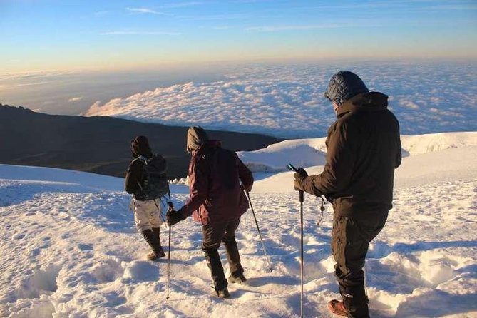 7 Days Climb Mt Kilimanjaro Through Machame Route Price per Day per Pax - Meeting Point and End Point