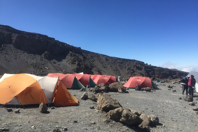7 Days Climbing Mountain Kilimanjaro - Summit Day Experience