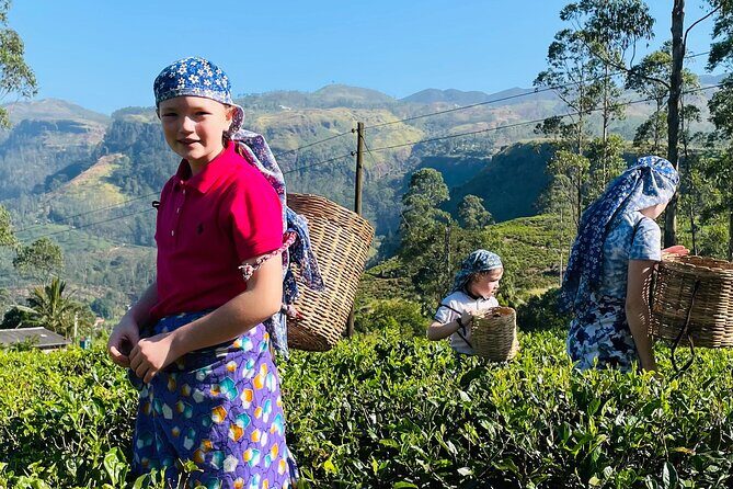 7 Days Cultural Tour of Sri Lanka with Private Chauffeur - Frequently Asked Questions